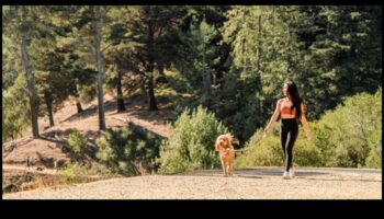 A Walk in the Park: Exploring Outdoor Adventures with Your Dog