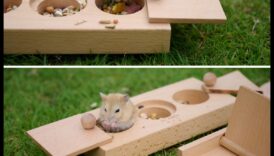 Βιντεοπαιχνίδια εμπλουτισμού κρυφτού χάμστερ για μικροσκοπικούς εξερευνητές 5 Χάμστερ Hide-and-Seek: Παιχνίδια εμπλουτισμού για μικροσκοπικούς εξερευνητές