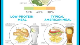 Κατάποση πρωτεΐνη θέλετε προκάλεσε μια διατροφή πλούσια προκάλεσε πρωτεΐνες 2 Πόση πρωτεΐνη χρειάζεστε πραγματικά σε μια δίαιτα πλούσια σε πρωτεΐνες;