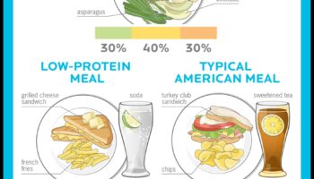 Πόση πρωτεΐνη χρειάζεστε πραγματικά σε μια δίαιτα πλούσια σε πρωτεΐνες;
