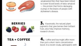 Δίαιτες υψηλής περιεκτικότητας σε πρωτεΐνες και διανοητική διαύγεια: Μια ολιστική προοπτική