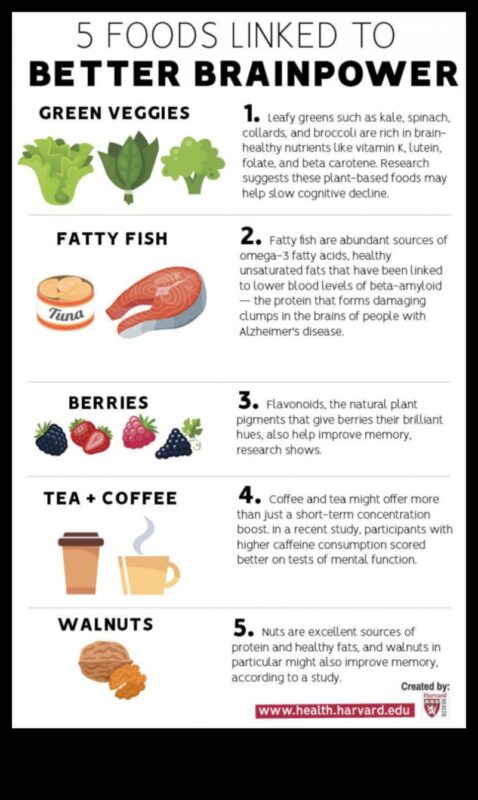 Δίαιτες υψηλής περιεκτικότητας σε πρωτεΐνες και διανοητική διαύγεια: Μια ολιστική προοπτική