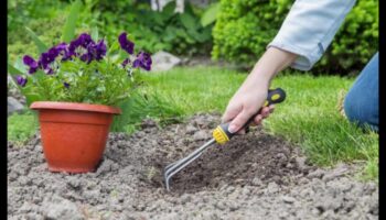Σκάψτε, φυτέψτε, μεγαλώστε: Βασικά εργαλεία κήπου για την επιτυχία