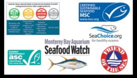 Συνεχιζόμενες πιστοποιήσεις και ετικέτες για βιώσιμα θαλασσινά 5 Συνέχεια για τα αειφόρα θαλασσινά: Πιστοποιήσεις και ετικέτες που πρέπει να αναζητήσετε