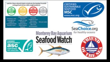 Συνέχεια για τα αειφόρα θαλασσινά: Πιστοποιήσεις και ετικέτες που πρέπει να αναζητήσετε