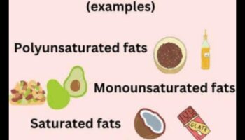 Veganism and Healthy Fats: Exploring Plant-Based Sources