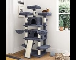 Cat Condo Crafting Συνέχεια: Προσθήκη άνετων γωνιών